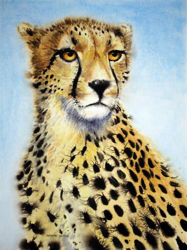 Print of Fine Art Animal Paintings by Graeme Whittle