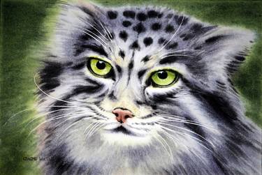 Original Fine Art Animal Paintings by Graeme Whittle