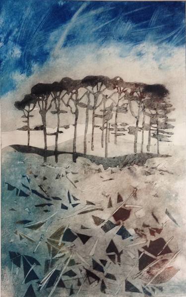 Original Abstract Landscape Printmaking by Sandra Haney