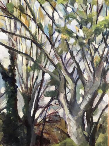 Original Impressionism Tree Paintings by Sandra Haney