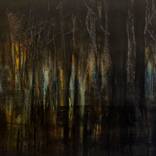 Dark Forest, from the Series 