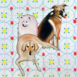 Smokey,Wizz and Kiara by Antonio Pozo