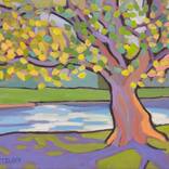 Beyond the Sycamore by Catherine J Martzloff