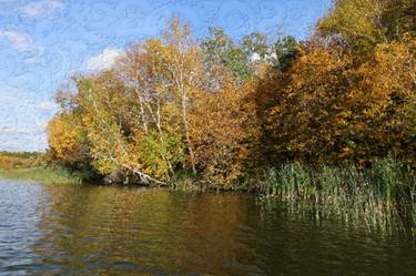 Autumn Lake Shoreline Oily Impressionist Landscape 2529 thumb