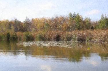 Sunlit Lilypads Amid Cattails Lake Landscape Pointillism 2498 thumb