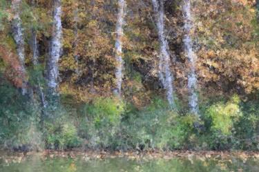 Autumn Birches Impressionist Pointillism Landscape 2614 thumb