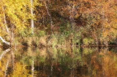 Autumn Lake Impressionist Totem Dots 2639 thumb