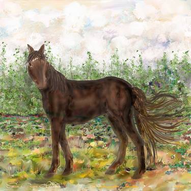 Print of Horse Mixed Media by Jill Johnson