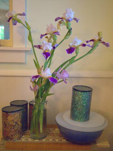 Irises in the Pantry thumb