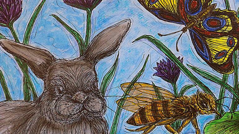 Kim Jones Art - Warrnambool Artist  Abstract art, florals & Australian  Animals