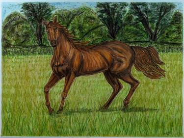 Print of Expressionism Horse Paintings by Kim Jones Miller