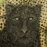 black panther close up