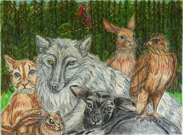 Original Animal Paintings by Kim Jones Miller