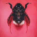 Bee by Jennifer Wijnbergen