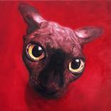 Kat's Cat by Jennifer Wijnbergen