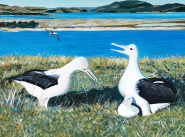 Southern Royal Albatross family thumb