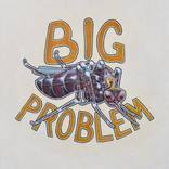 Big Problem by Jason Zahra