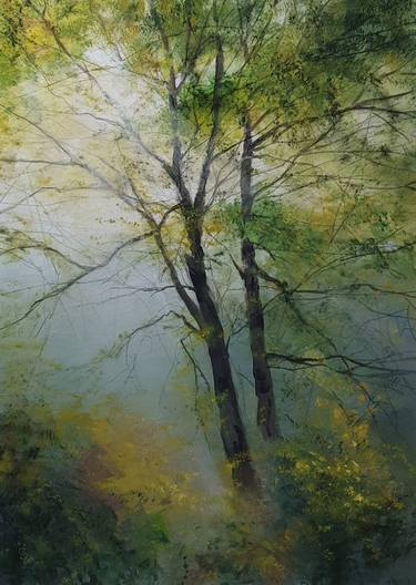" Morning sunrays through the fog and trees " thumb