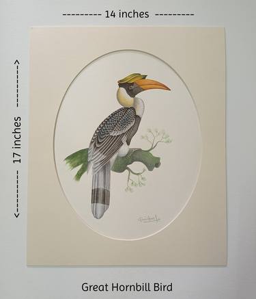Great Hornbill Bird painting thumb