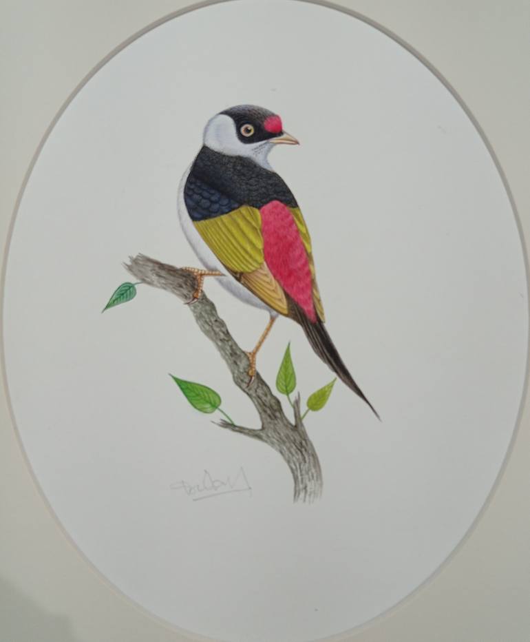 Original Expressionism Animal Painting by Krishan Gupta