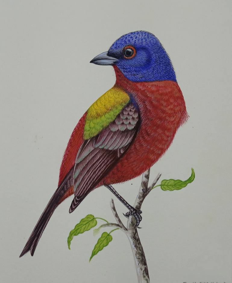 Original Expressionism Animal Painting by Krishan Gupta