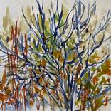 Fresh nature by Barbara Scott