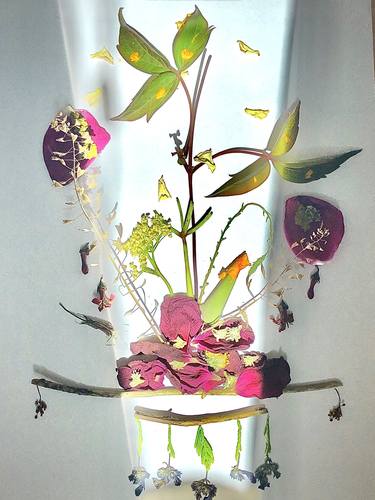 Original Abstract Botanic Photography by Didi Mx