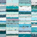 Collection Chroma Series