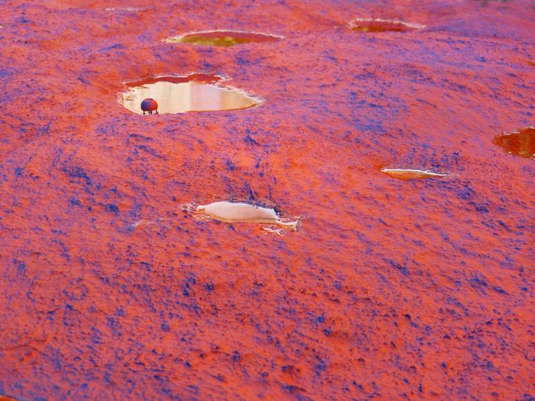 Original Contemporary Nature Painting by Pin Vega