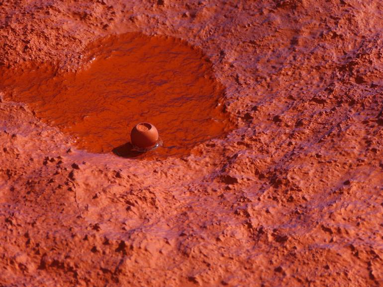 Original Contemporary Nature Painting by Pin Vega