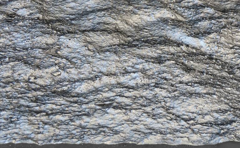 Original Contemporary Nature Painting by Pin Vega