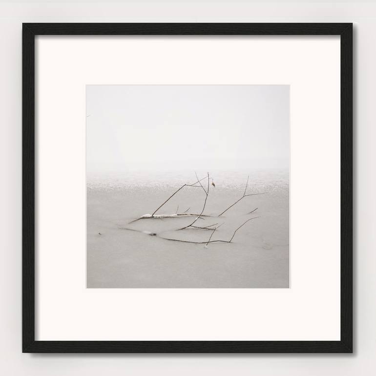 Original Black & White Nature Photography by Lena Weisbek