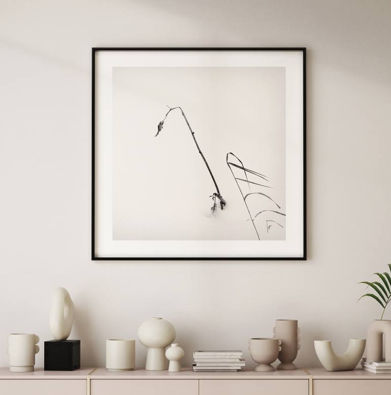 Original Black & White Nature Photography by Lena Weisbek