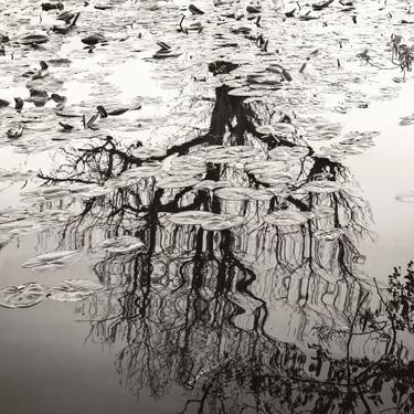 Original Black & White Nature Photography by Lena Weisbek