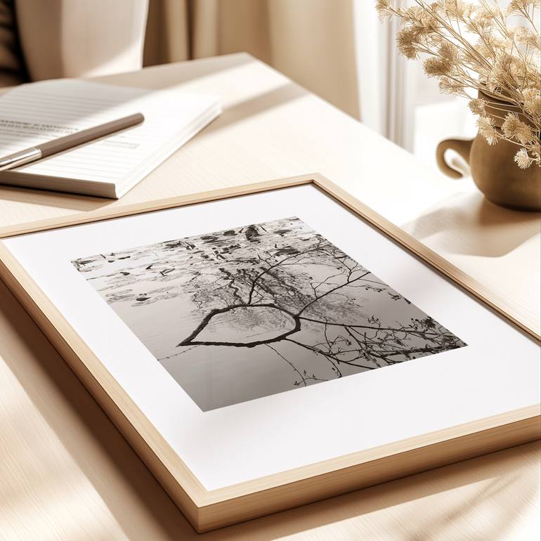 Original Black & White Nature Photography by Lena Weisbek