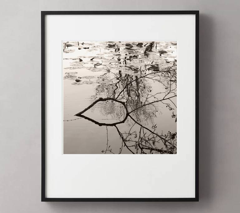 Original Black & White Nature Photography by Lena Weisbek