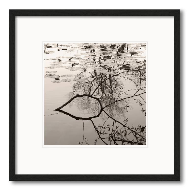 Original Black & White Nature Photography by Lena Weisbek