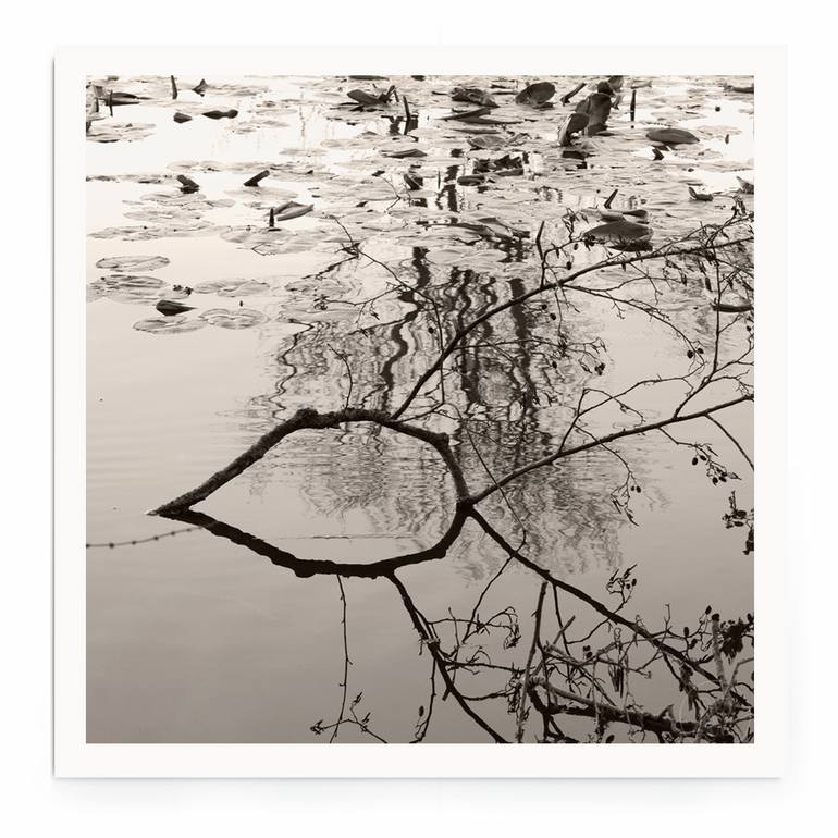 Original Black & White Nature Photography by Lena Weisbek
