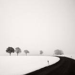 Collection Silence
