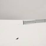 Collection Silence