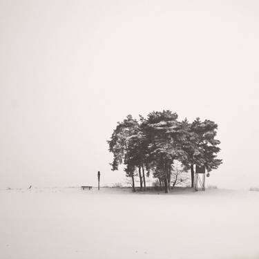 Original Fine Art Landscape Photography by Lena Weisbek