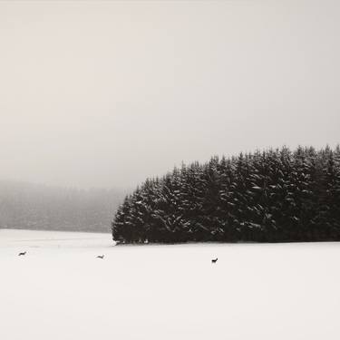 Winterscape.Bavaria. - Limited Edition of 25 thumb