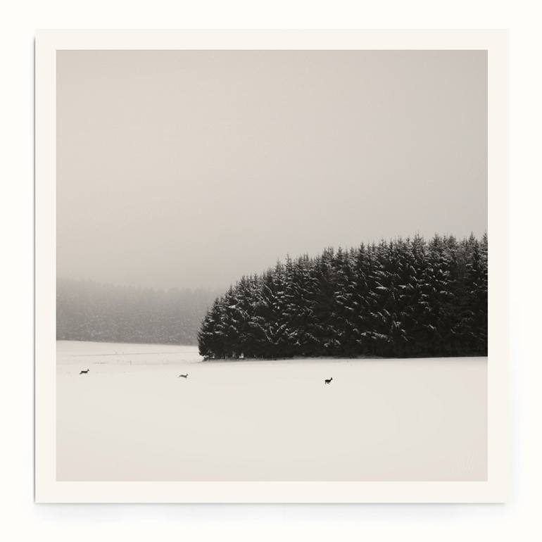 Original Landscape Photography by Lena Weisbek