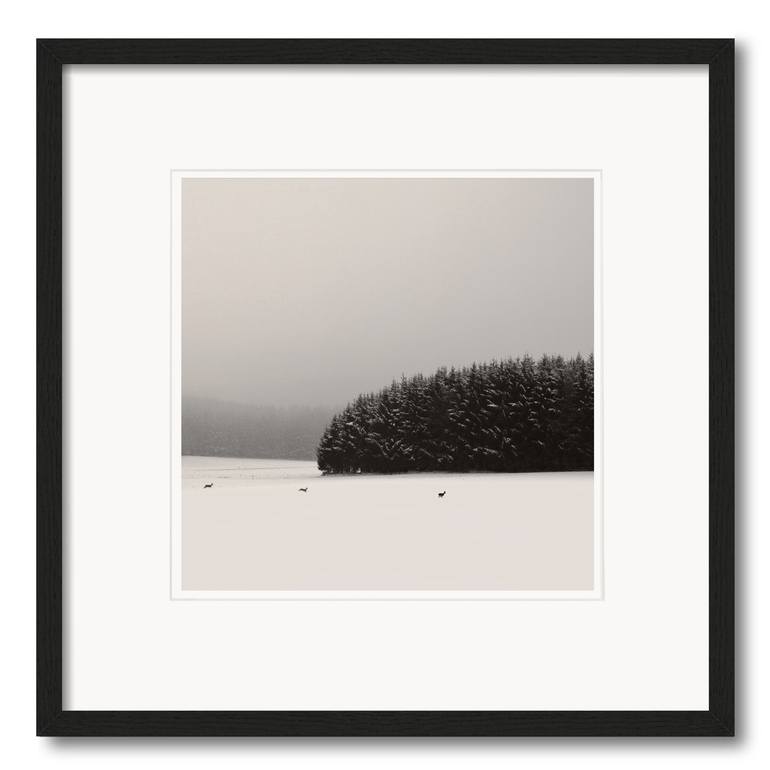 Original Landscape Photography by Lena Weisbek