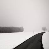 Collection Silence