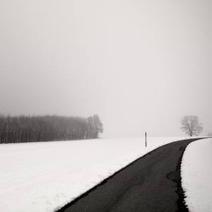 Collection Silence