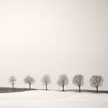 Collection Silence