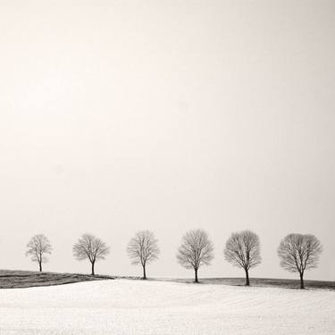 Print of Fine Art Landscape Photography by Lena Weisbek