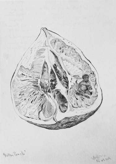 Print of Food Drawings by Dominic-Petru Virtosu