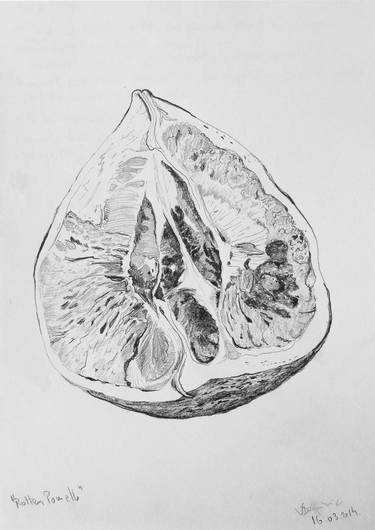 Print of Figurative Food Drawings by Dominic-Petru Virtosu